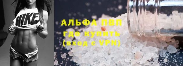 бошки Гусев