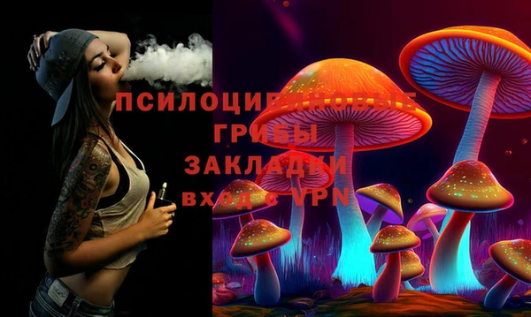 бошки Гусев