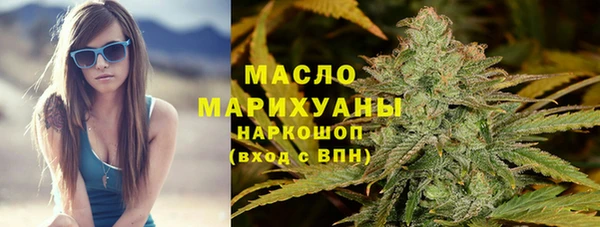 эйфоретик Гусь-Хрустальный
