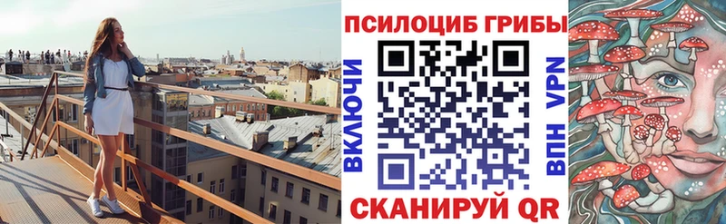 Псилоцибиновые грибы мицелий  Купить закладки  Правдинск 